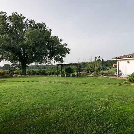 Agriturismo Il Poggio Vetralla Buitenkant foto