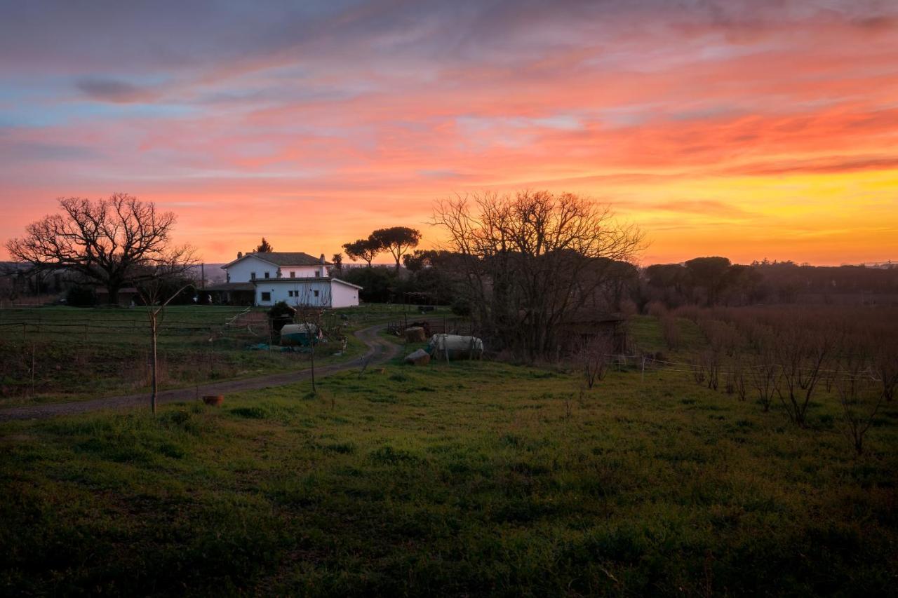 Agriturismo Il Poggio Vetralla Buitenkant foto