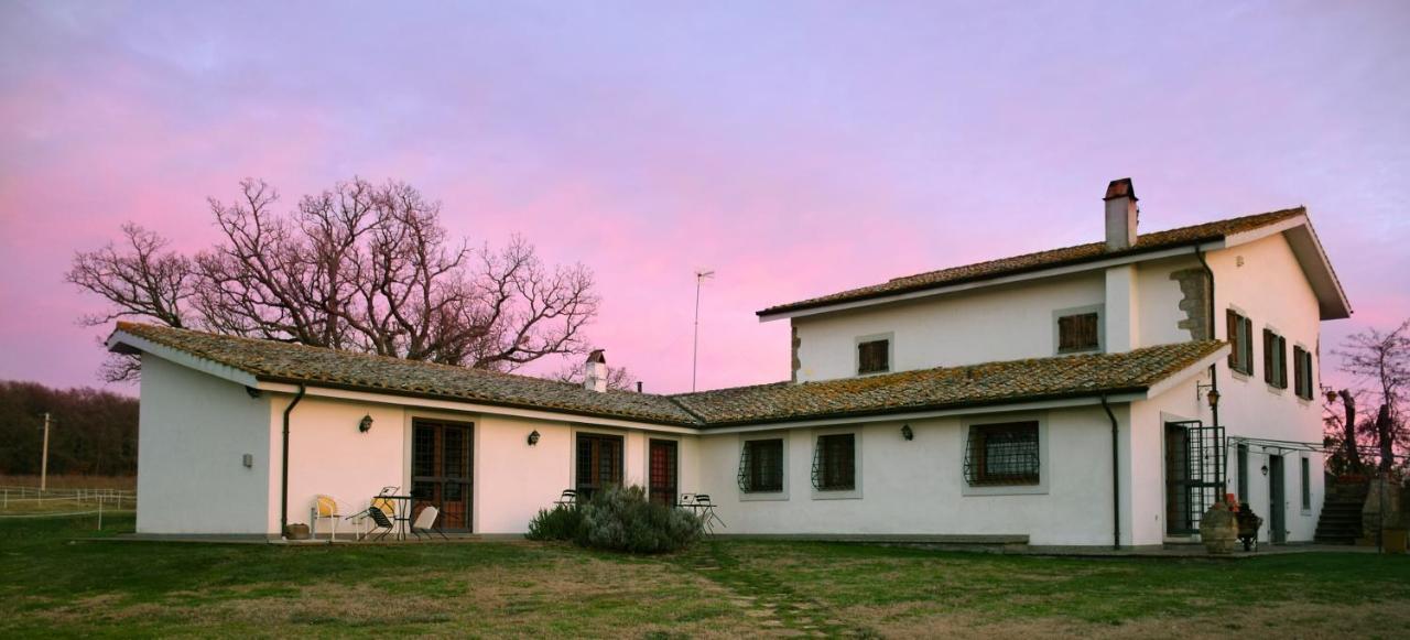 Agriturismo Il Poggio Vetralla Buitenkant foto