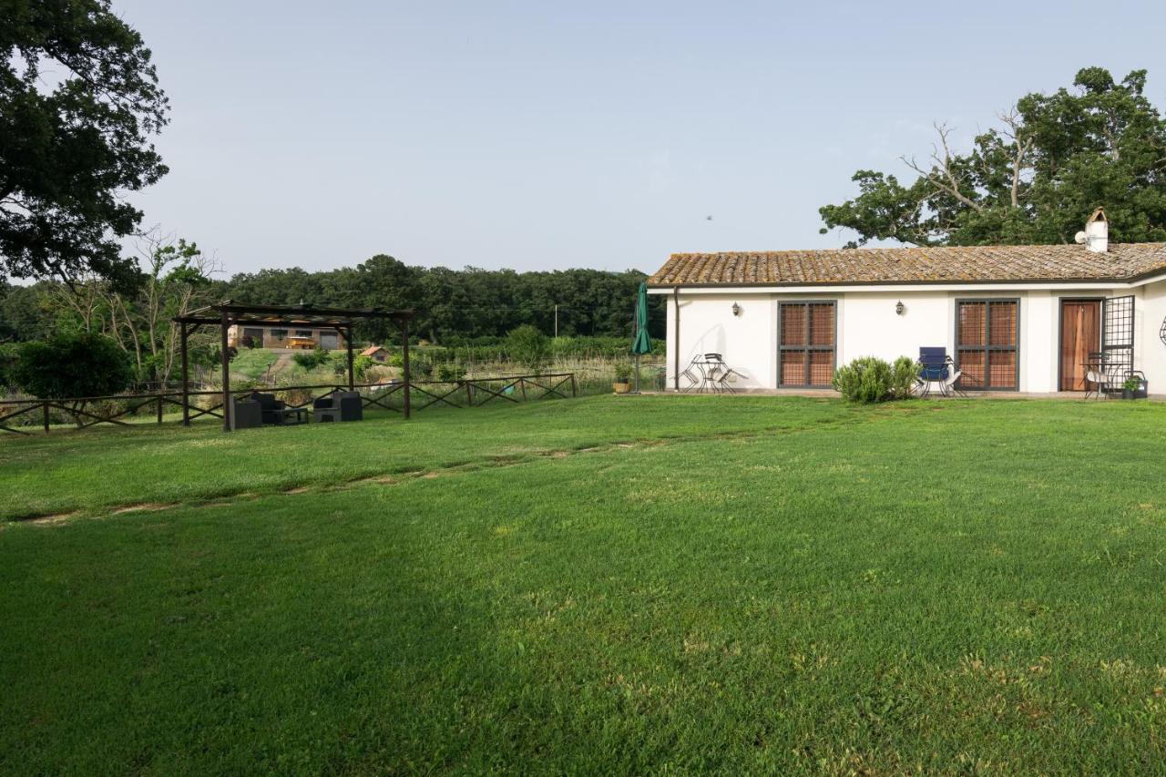 Agriturismo Il Poggio Vetralla Buitenkant foto