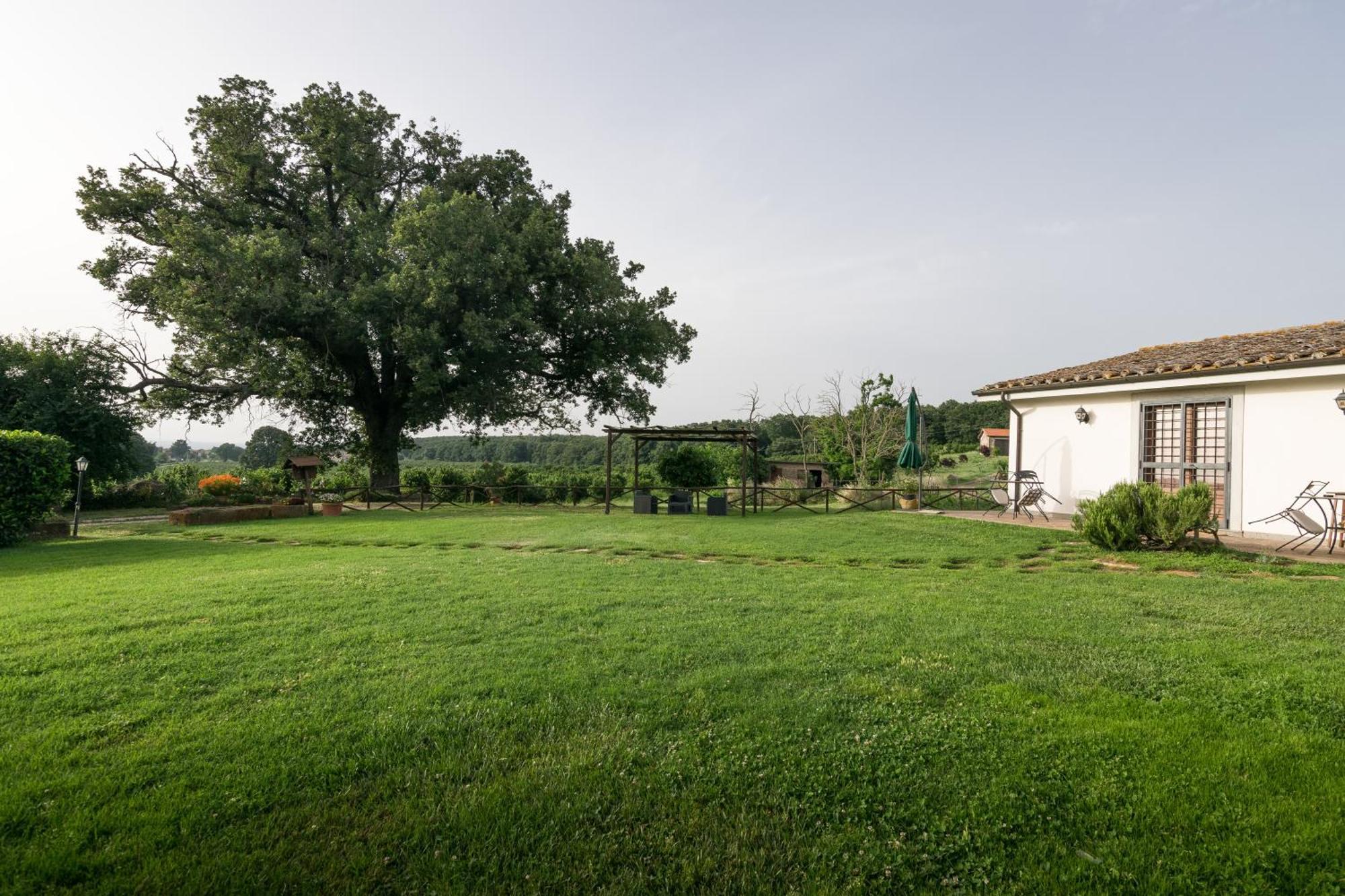 Agriturismo Il Poggio Vetralla Buitenkant foto